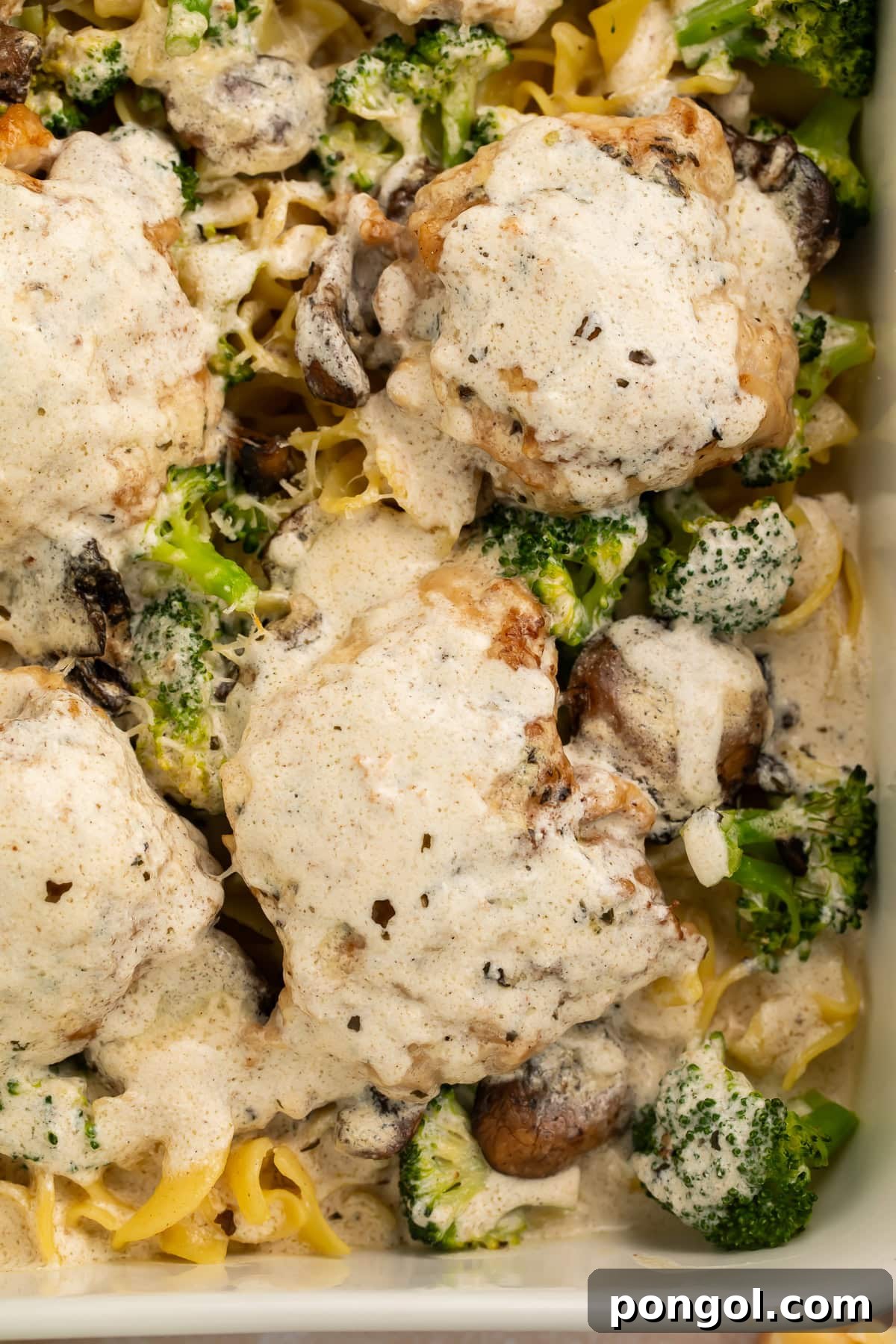Close-up view of a serving of homemade chicken divan, highlighting tender chicken thigh pieces, sautéed mushrooms, and creamy sour cream sauce.
