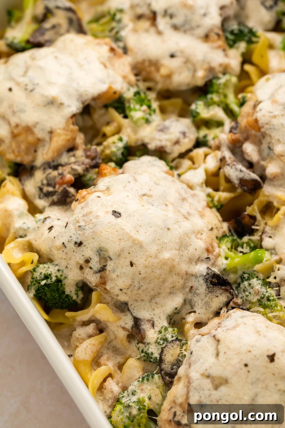 Close-up of a serving of chicken divan, showcasing the tender chicken thigh, sautéed mushrooms, and creamy sauce over egg noodles.