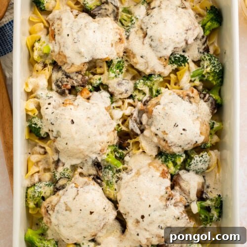 Chicken divan casserole in white baking dish with golden-brown broiled top and fresh broccoli