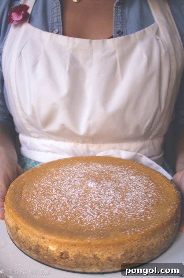Elegantly Garnished Pumpkin Cheesecake Slice