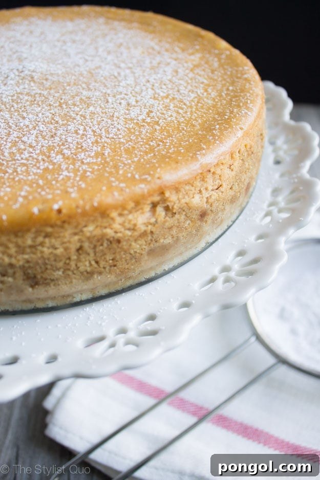 Pumpkin Cheesecake with Powdered Sugar Dusting