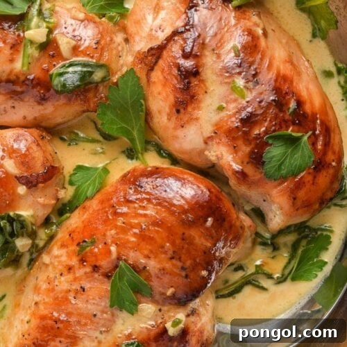 Chicken Florentine