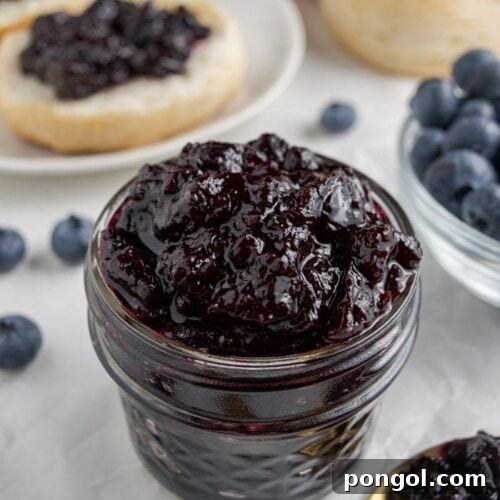 Blueberry Jam