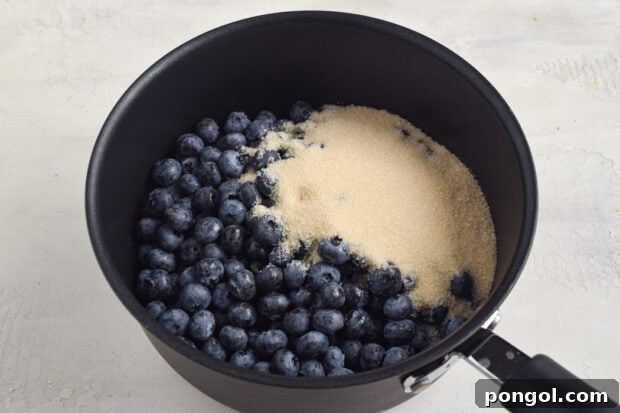 Blueberry Jam Process Photo 1: Ingredients in saucepan coming to a boil