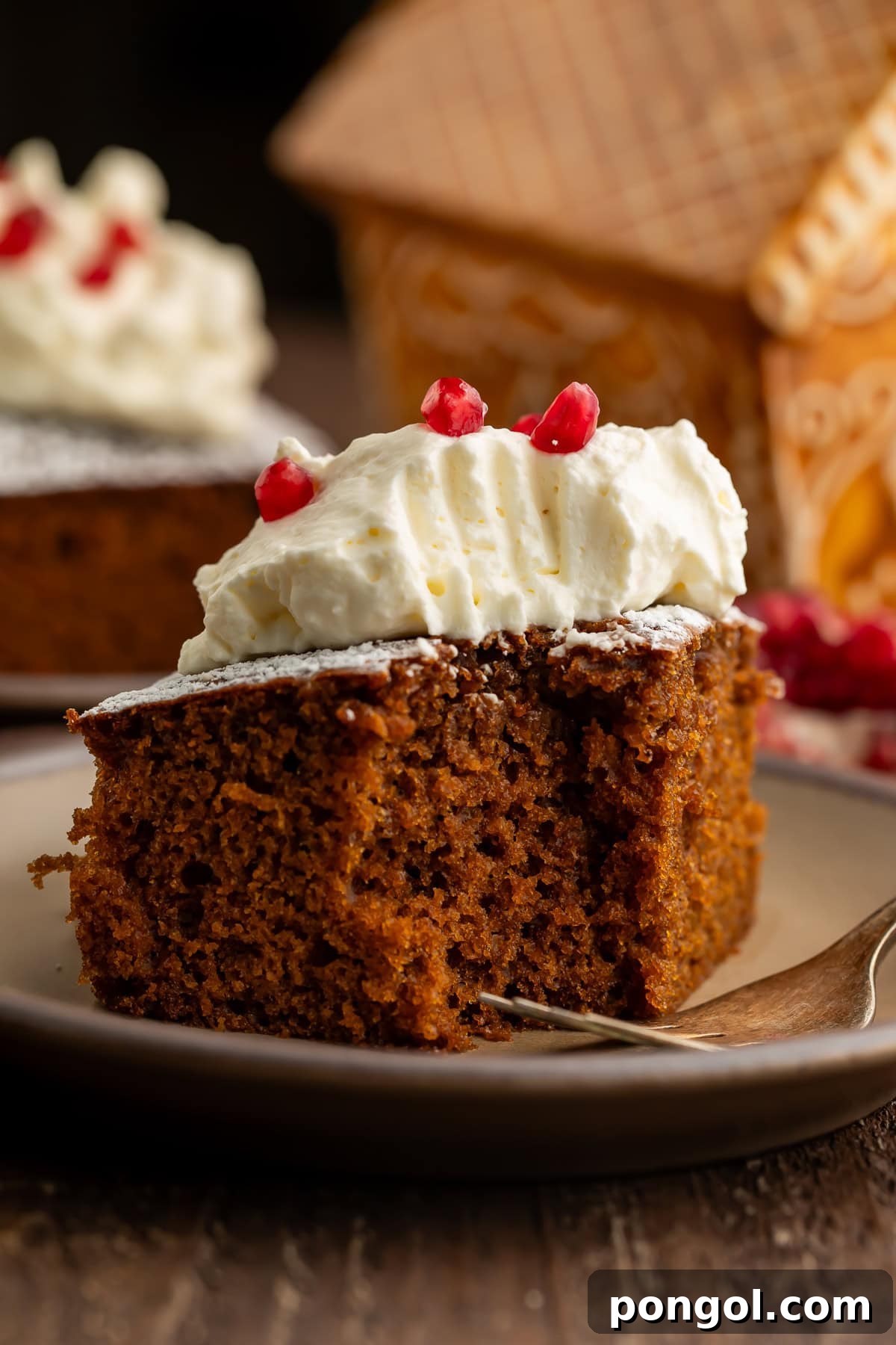 Side view of gingerbread cake slice showing moist interior texture topped with whipped cream and pomegranate seeds.