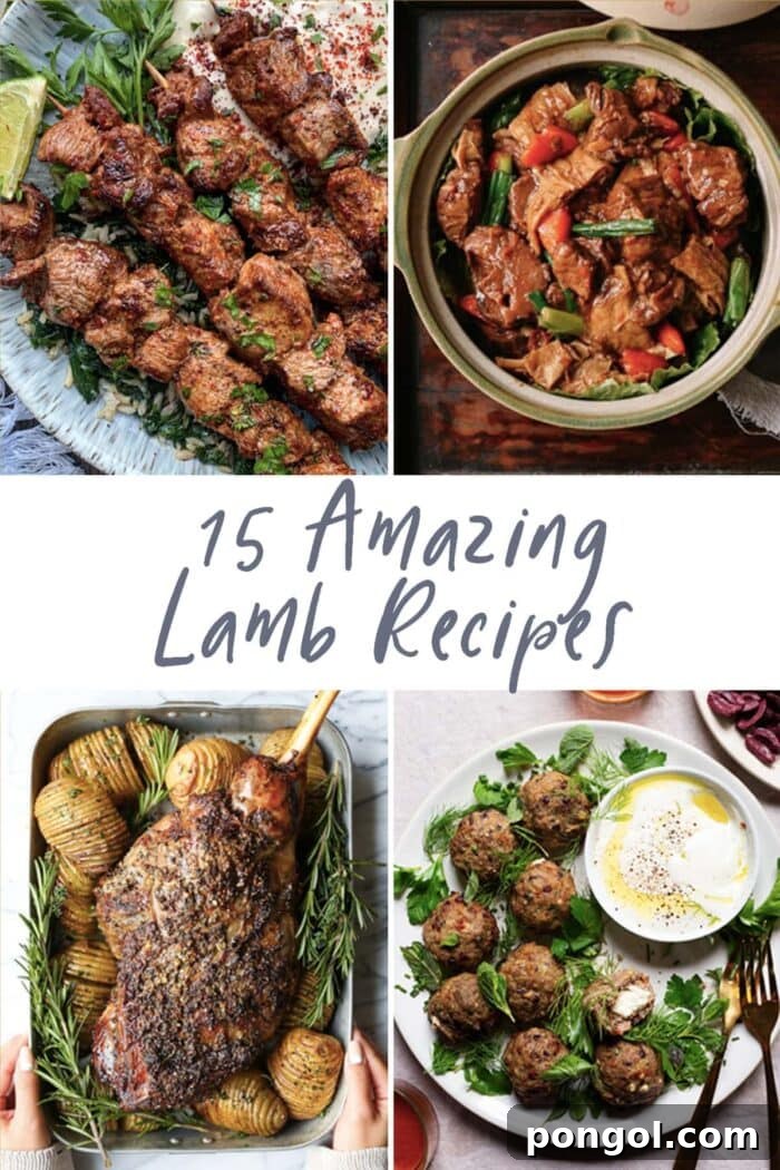 Graphic for 15 Amazing Lamb Recipes, showcasing various delicious lamb dishes