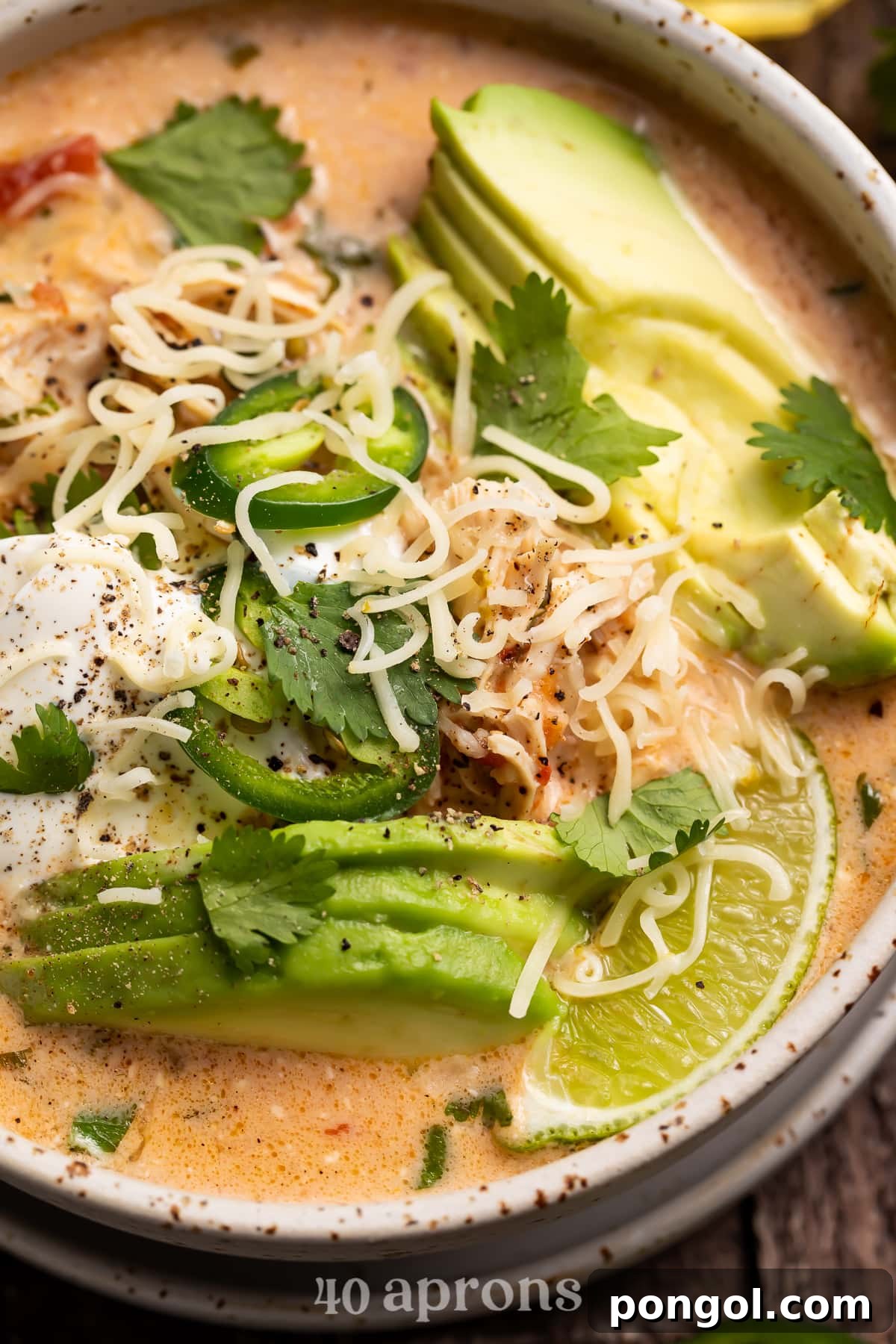 Mexican Chicken Extravaganza 14 Close up angled photo of keto chicken tortilla soup