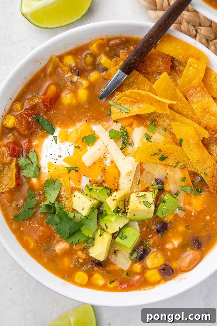 Mexican Chicken Extravaganza 16 Close-up of taco soup in a bowl, garnished with fresh herbs.
