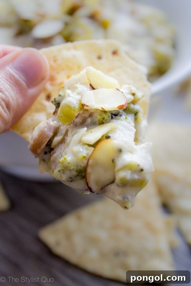 Creamy Broccoli Dip 3 Close-up of creamy broccoli dip being served in a crockpot.