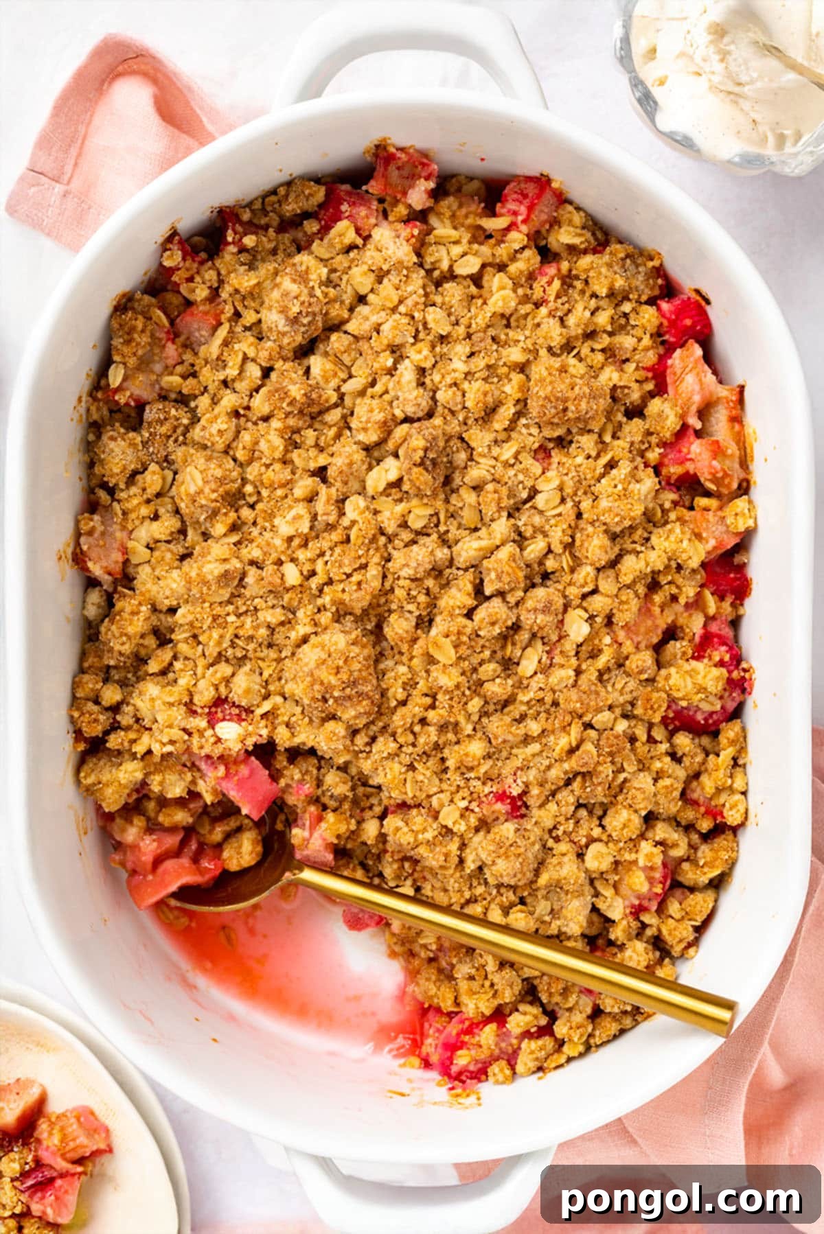 Tangy Rhubarb Delight 2 Overhead photo of a white oval baking dish holding rhubarb crumble with a gold spoon.