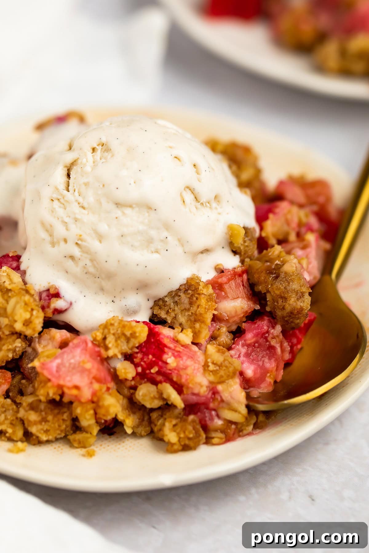 Tangy Rhubarb Delight 3 A scoop of rhubarb crumble topped with vanilla ice cream on a plate.