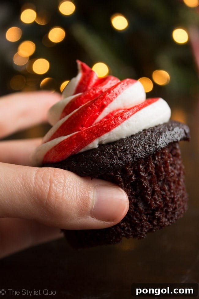 Decadent Vegan Chocolate Peppermint Cupcakes 2 Rich Vegan Chocolate Cupcakes with Swirled Peppermint Frosting
