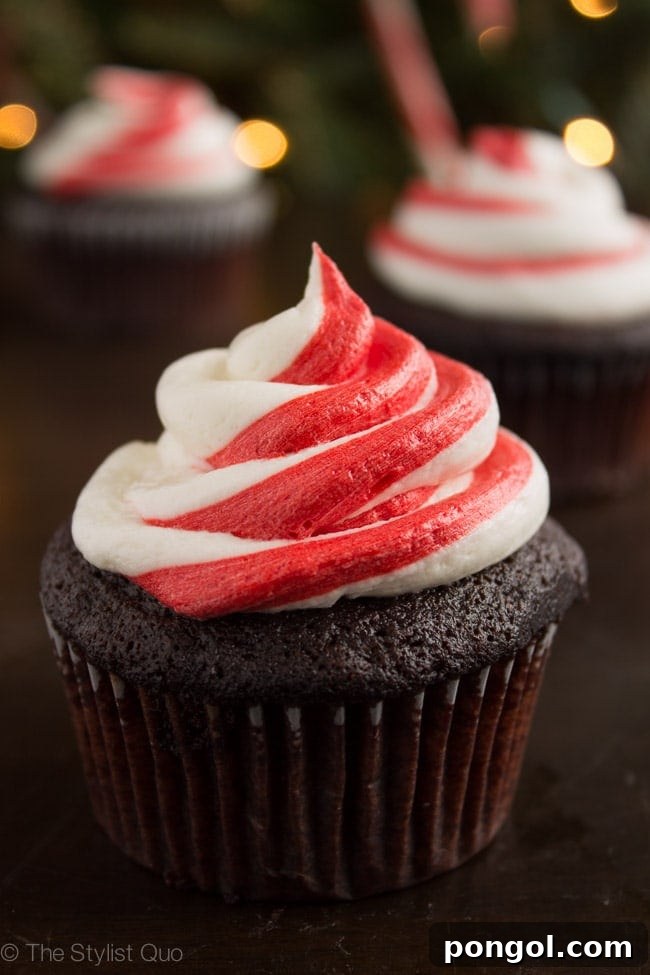 Decadent Vegan Chocolate Peppermint Cupcakes 3 Beautifully Decorated Vegan Chocolate Peppermint Cupcakes