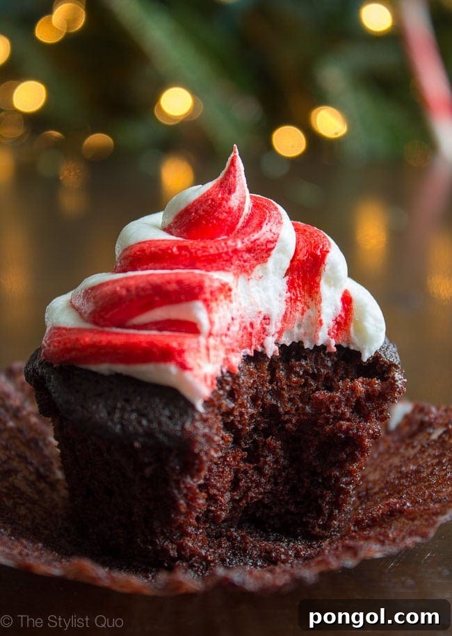 Decadent Vegan Chocolate Peppermint Cupcakes 7 Perfectly Moist and Rich Vegan Chocolate Cupcake