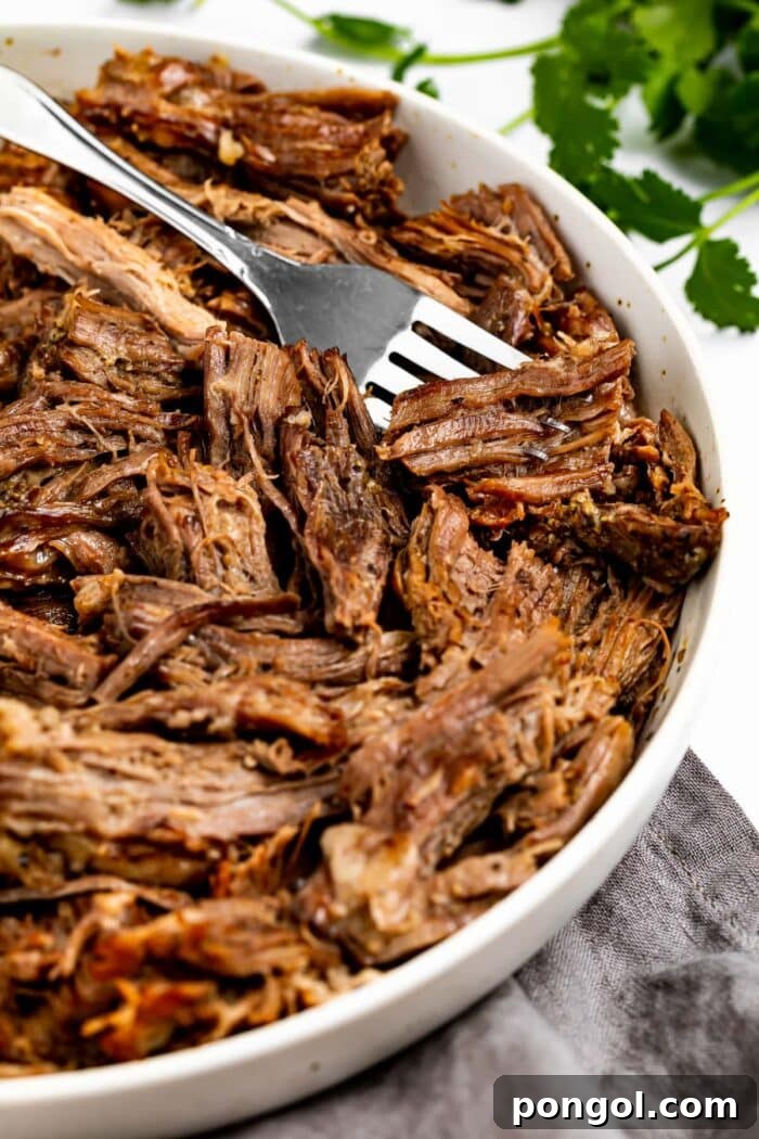 Pulled Beef Perfection 3 Fork picking up a piece of shredded beef.