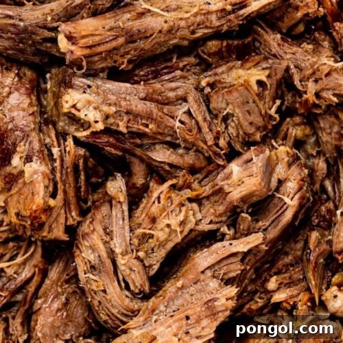 Pulled Beef Perfection 4 Close up image of shredded beef in a bowl.