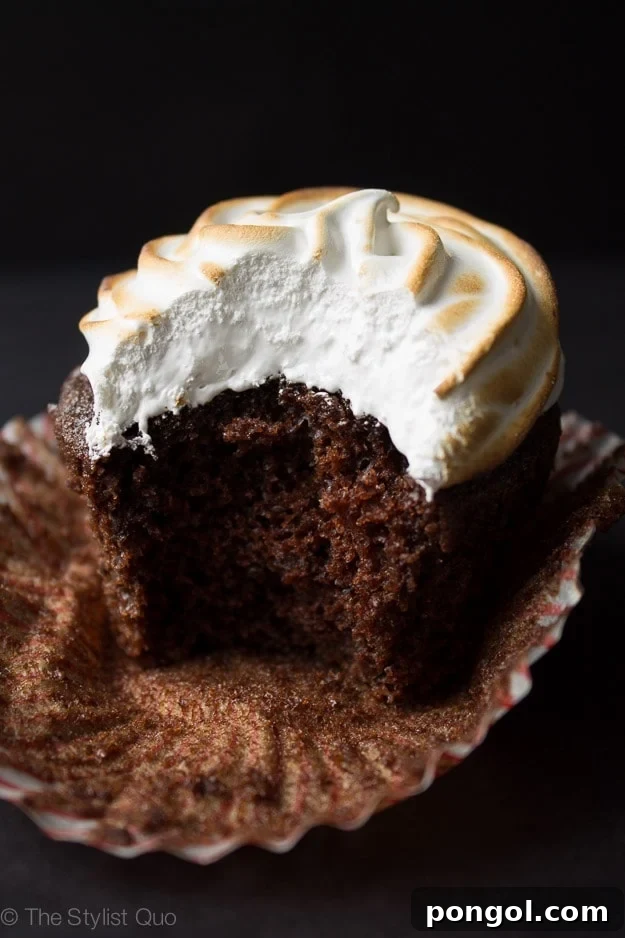 Delicious Hot Chocolate Cupcakes with Toasted Marshmallow Frosting