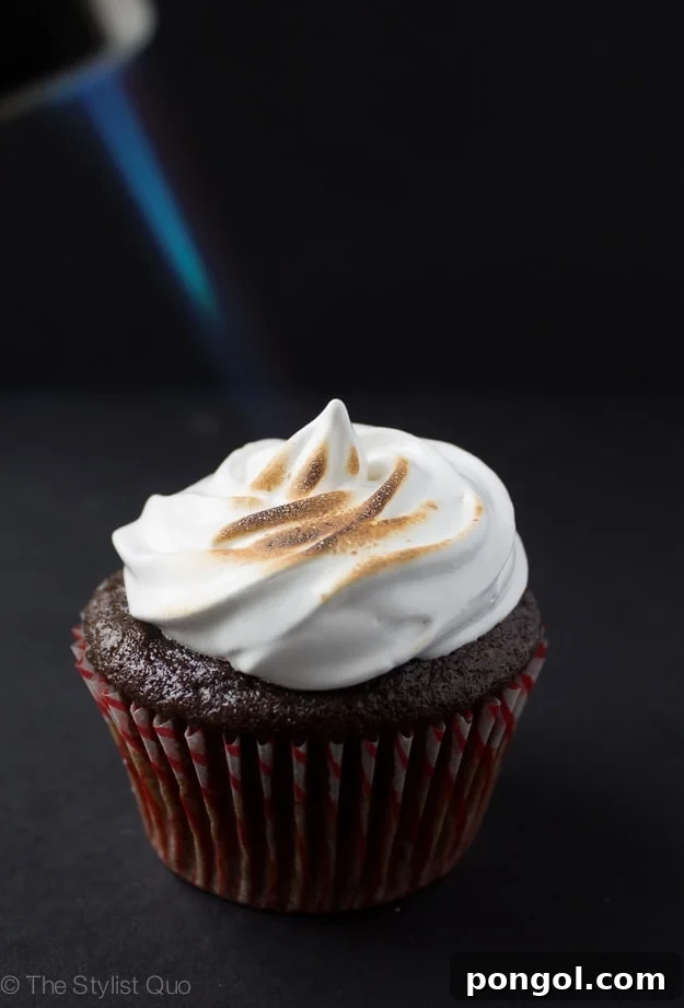 Hot Chocolate Cupcakes with Toasted Marshmallow Frosting