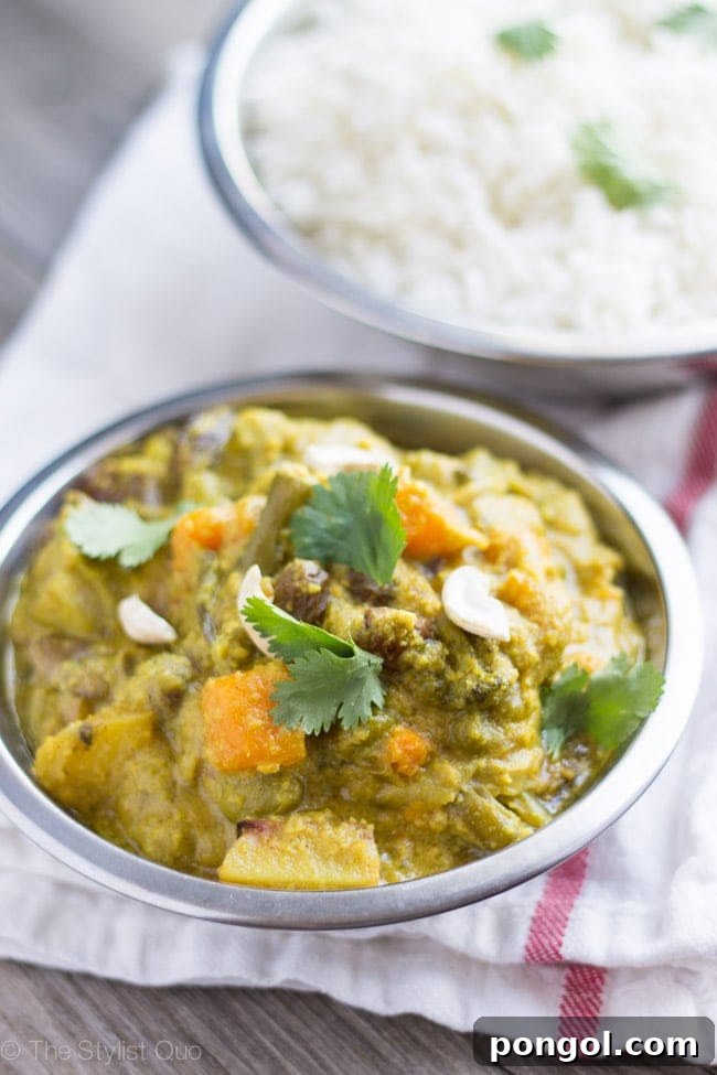 Vibrant Vegan Korma Packed with Fresh Vegetables