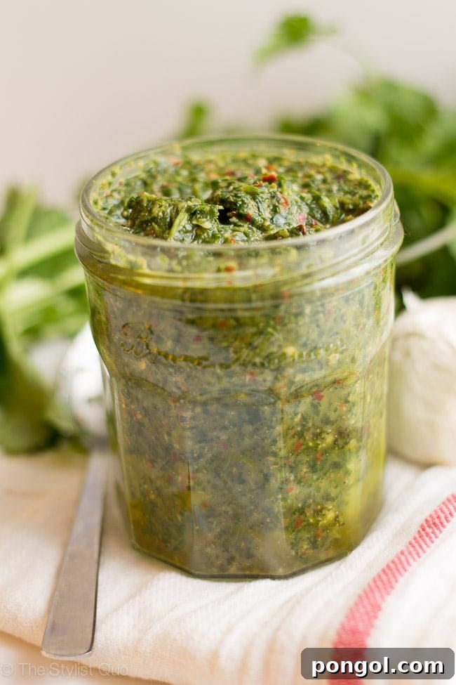 Skinny Chimichurri // The Stylist Quo