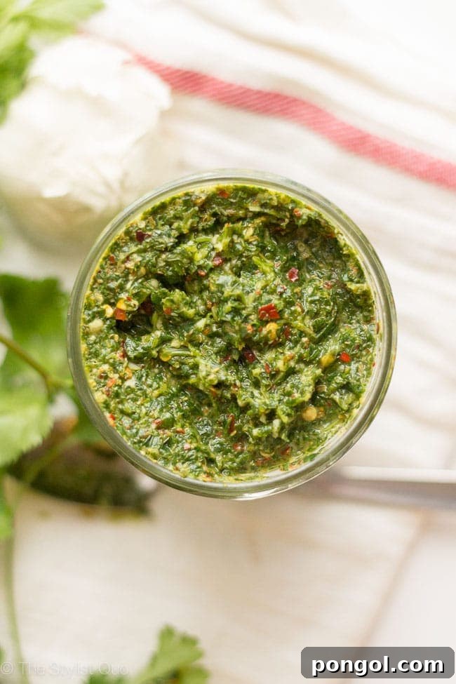 Skinny Chimichurri // The Stylist Quo