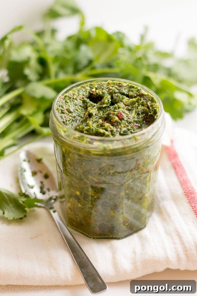 Skinny Chimichurri // The Stylist Quo