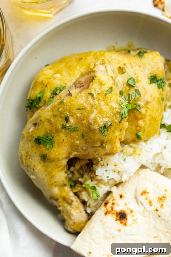 Zacatecas Verde Chicken Mole 2 overhead image of green mole chicken on a plate with rice and a tortilla