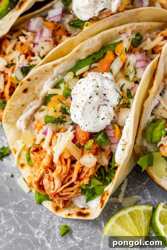 Close up of a shredded chicken taco with sour cream, cilantro, and pico de gallo.