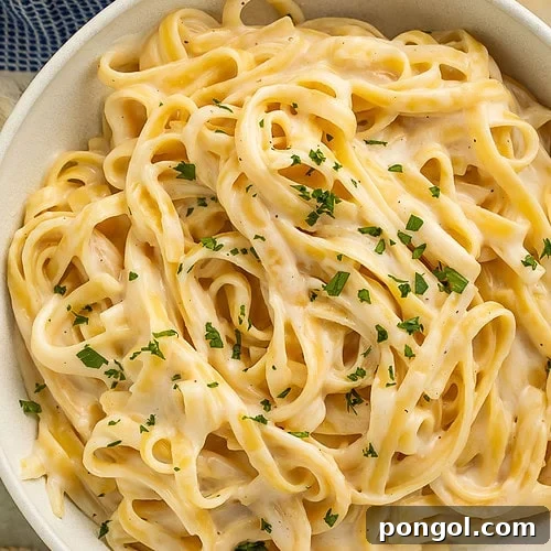 A bowl of creamy cottage cheese alfredo on fettuccine garnished with chopped parsley.