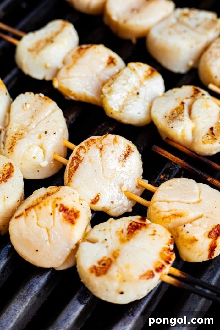 Smoky Sweet Grilled Scallops 2 Close-up image of skewered scallops cooking on the grill, showing a beautiful sear.