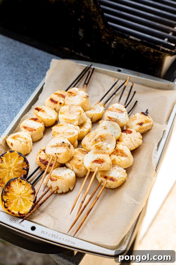 Smoky Sweet Grilled Scallops 3 Fully cooked grilled scallops sitting on a baking sheet next to a grill, garnished with fresh herbs.