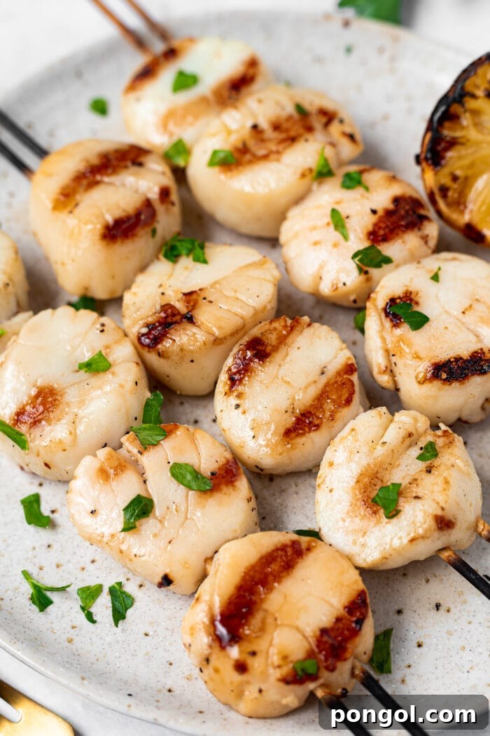 Smoky Sweet Grilled Scallops 4 Grilled scallops on a plate topped with chopped parsley and a lemon on the side, ready to serve.