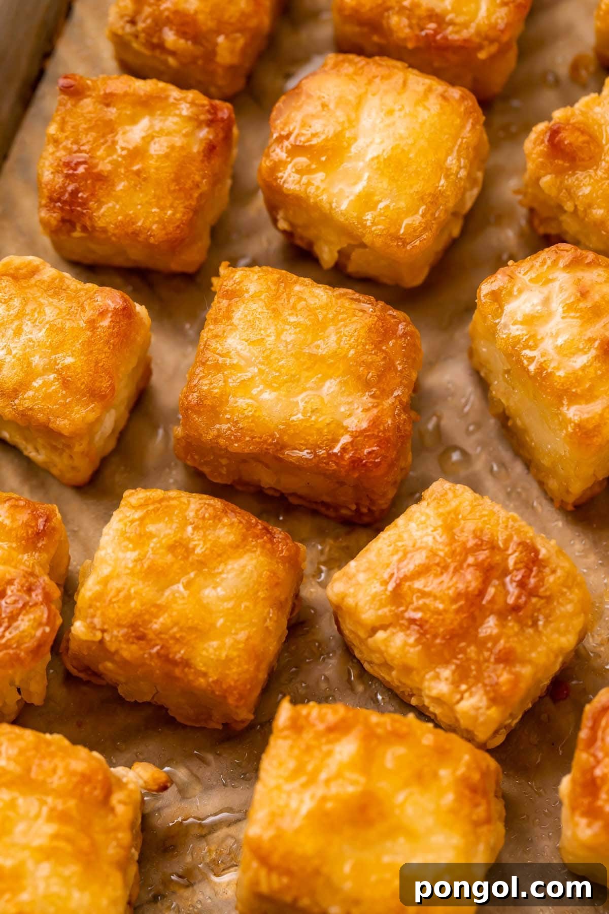 A close-up view of crispy baked tofu cubes, showing their golden texture and enticing appeal.