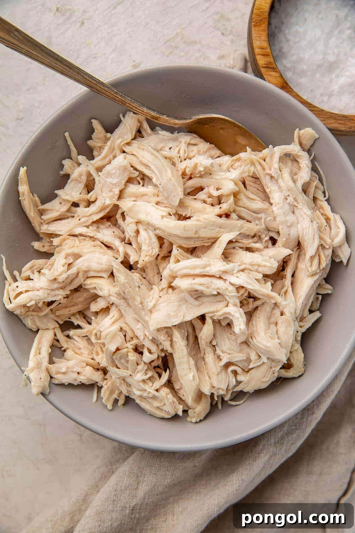 125 Simple Chicken Dinners: Fast Meals with Pantry Staples 12 A light grey bowl holding large pieces of juicy shredded chicken with a utensil.