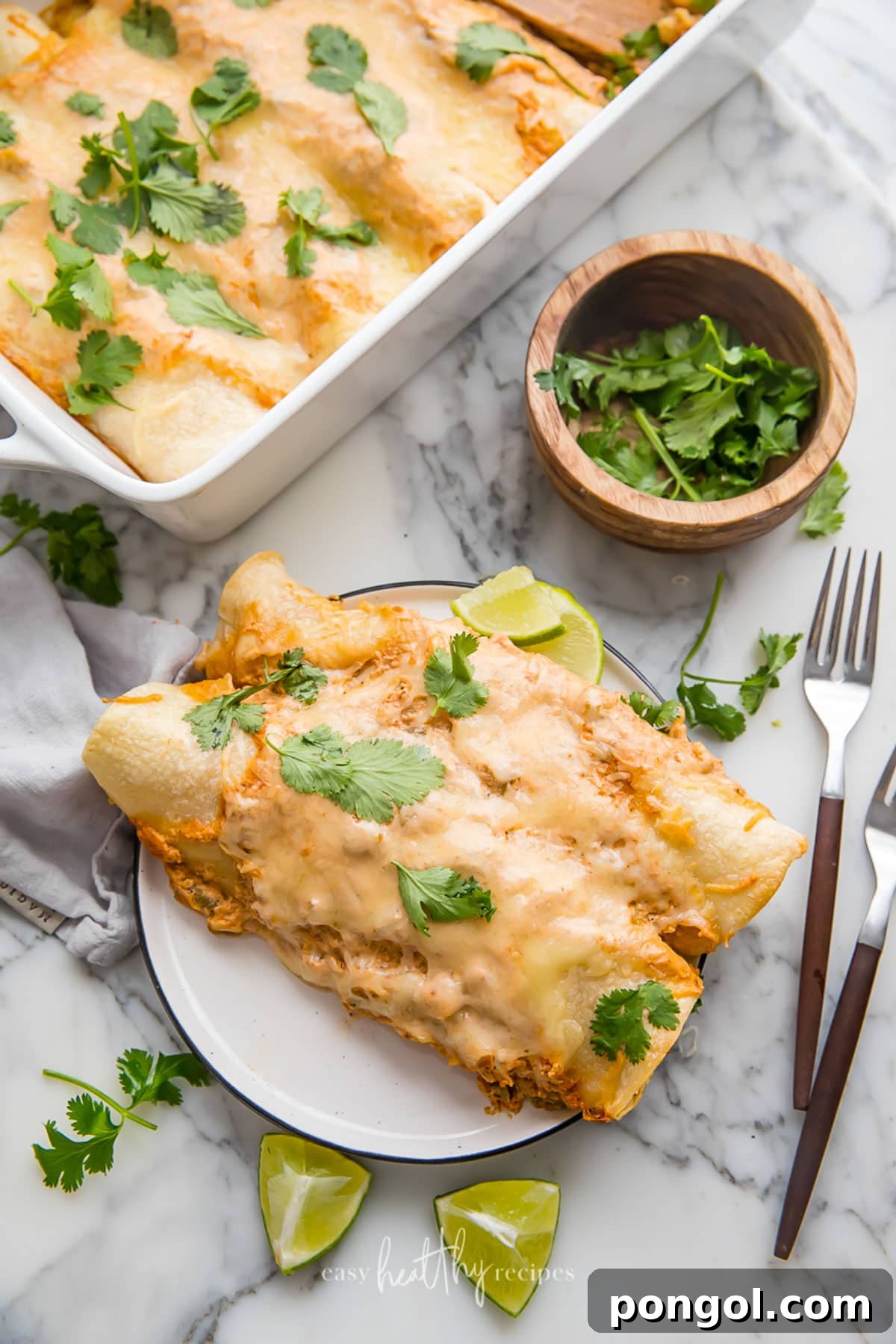 125 Simple Chicken Dinners: Fast Meals with Pantry Staples 22 Two chicken enchiladas on a small white plate, next to a casserole dish of chicken enchiladas on a neutral light tabletop.