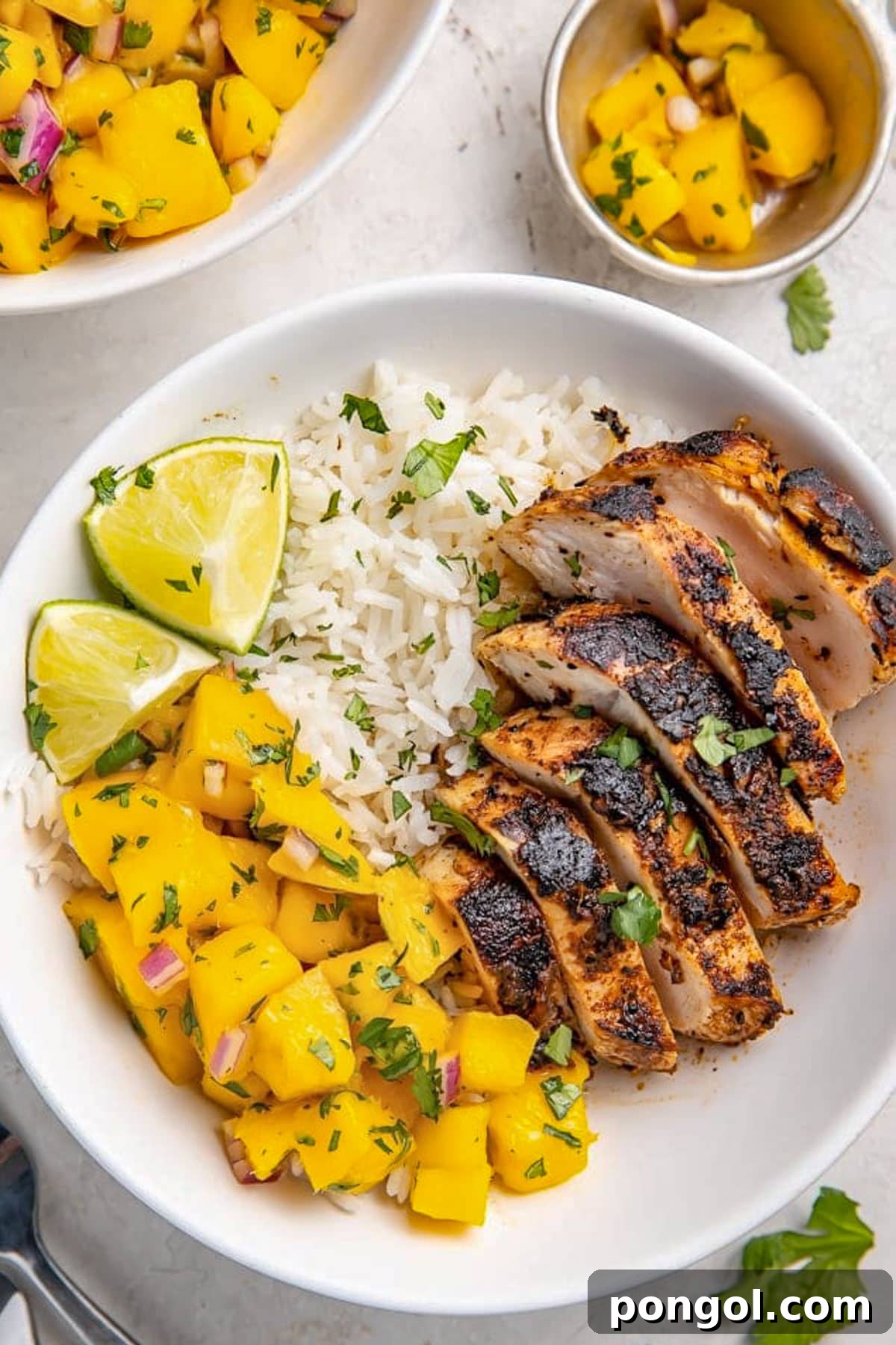 125 Simple Chicken Dinners: Fast Meals with Pantry Staples 31 Top-down view of a sliced, jerk-seasoned chicken breast in a large bowl with bright mango salsa and white rice.