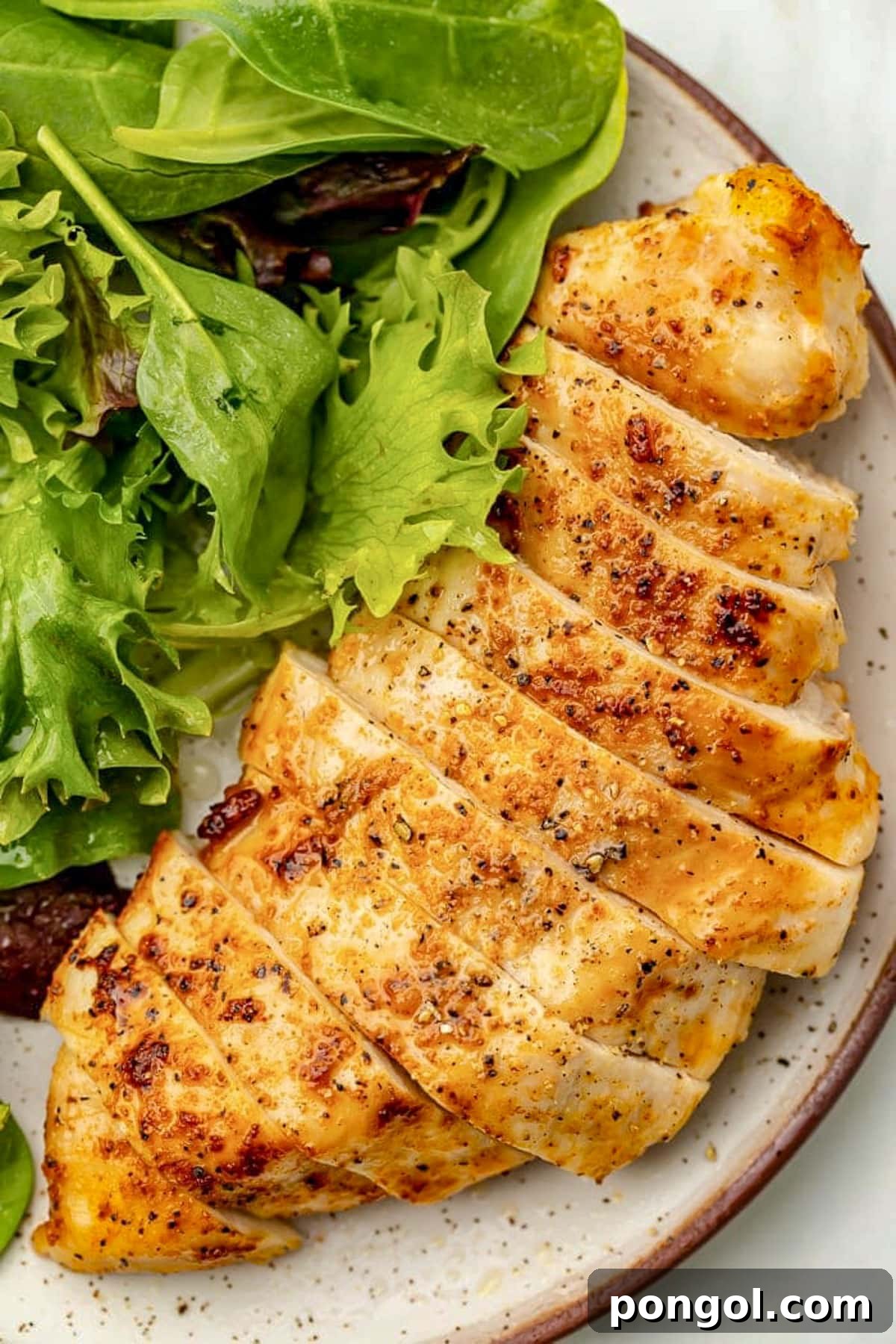 125 Simple Chicken Dinners: Fast Meals with Pantry Staples 5 A chicken breast, cooked in the air fryer, sliced and plated with a small green leaf salad.