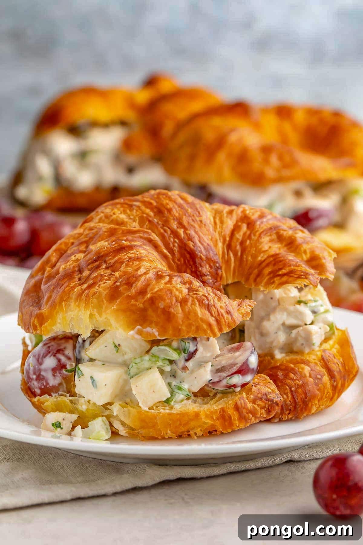 125 Simple Chicken Dinners: Fast Meals with Pantry Staples 50 Creamy chicken salad with halved red grapes on a croissant sandwich roll.
