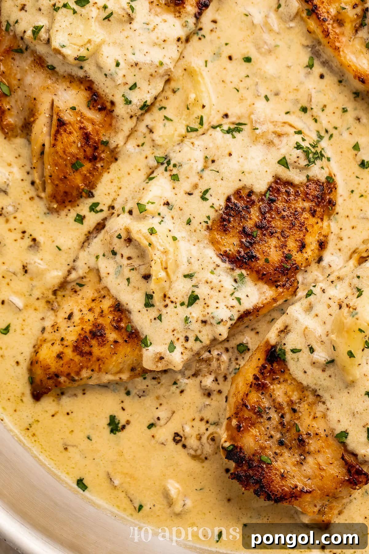 125 Simple Chicken Dinners: Fast Meals with Pantry Staples 55 Close-up of a chicken breast swaddled in a creamy garlic sauce, resting in a large silver skillet.