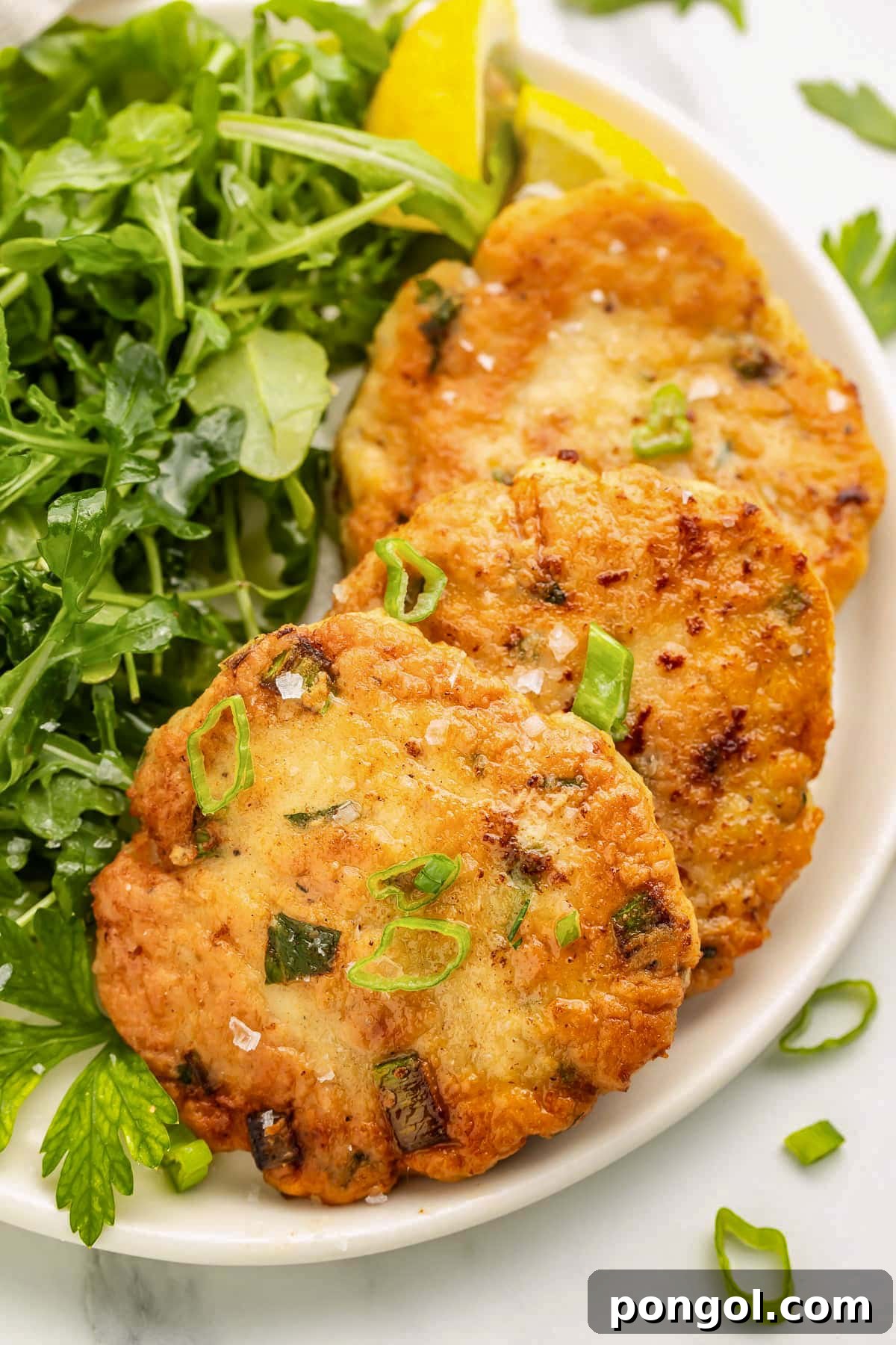 125 Simple Chicken Dinners: Fast Meals with Pantry Staples 60 Three round crispy chicken patties on a plate next to a small green leaf salad.