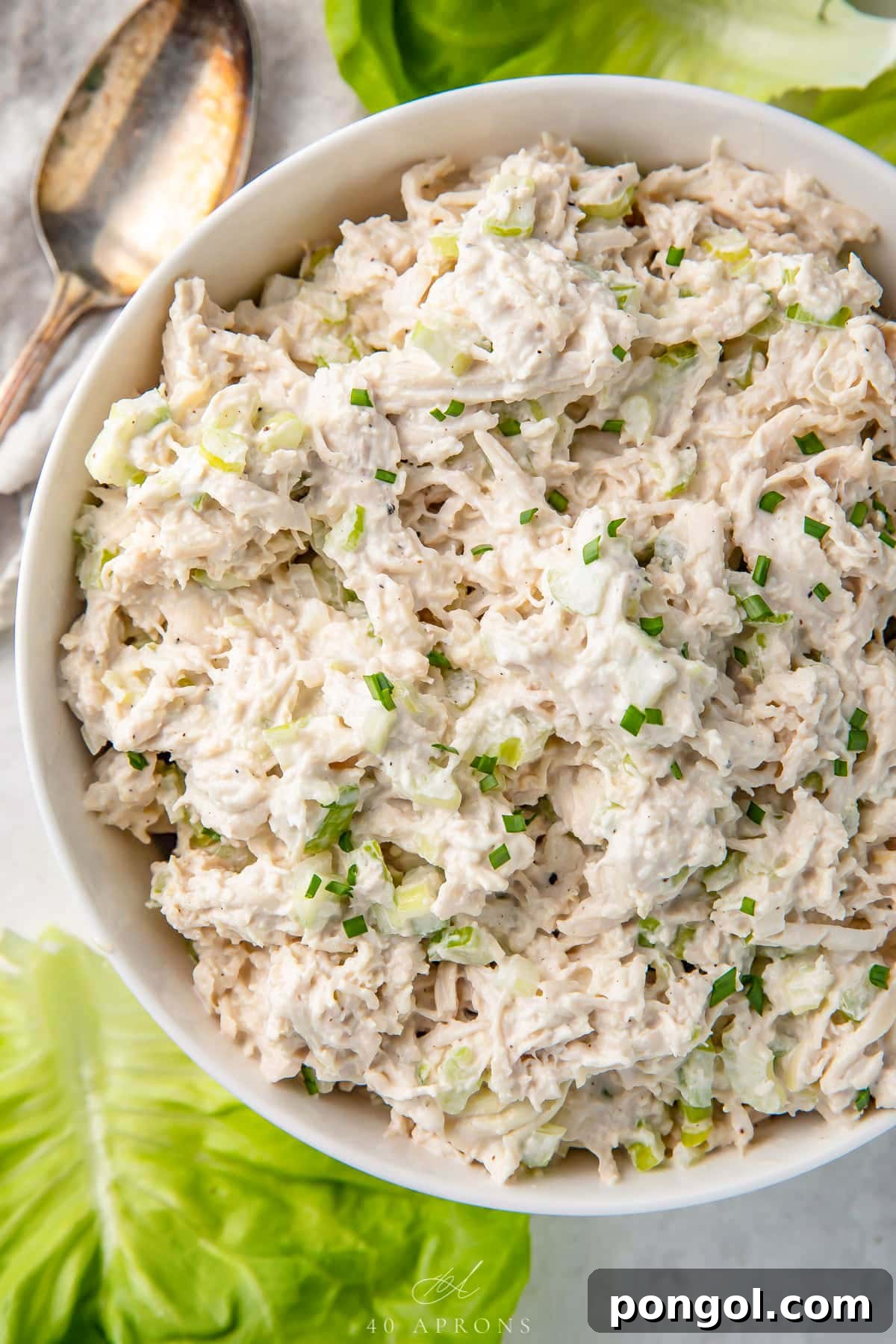 125 Simple Chicken Dinners: Fast Meals with Pantry Staples 67 A white bowl holding classic shredded keto chicken salad.