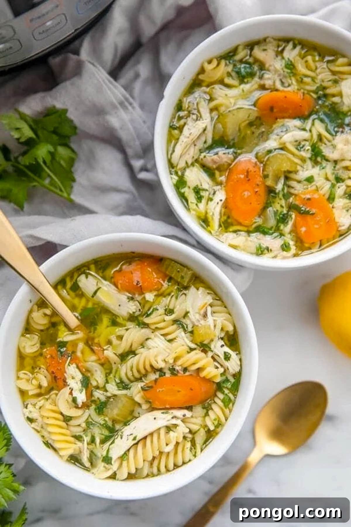 125 Simple Chicken Dinners: Fast Meals with Pantry Staples 86 Two white soup bowls holding Instant Pot chicken noodle soup with carrots and rotini.