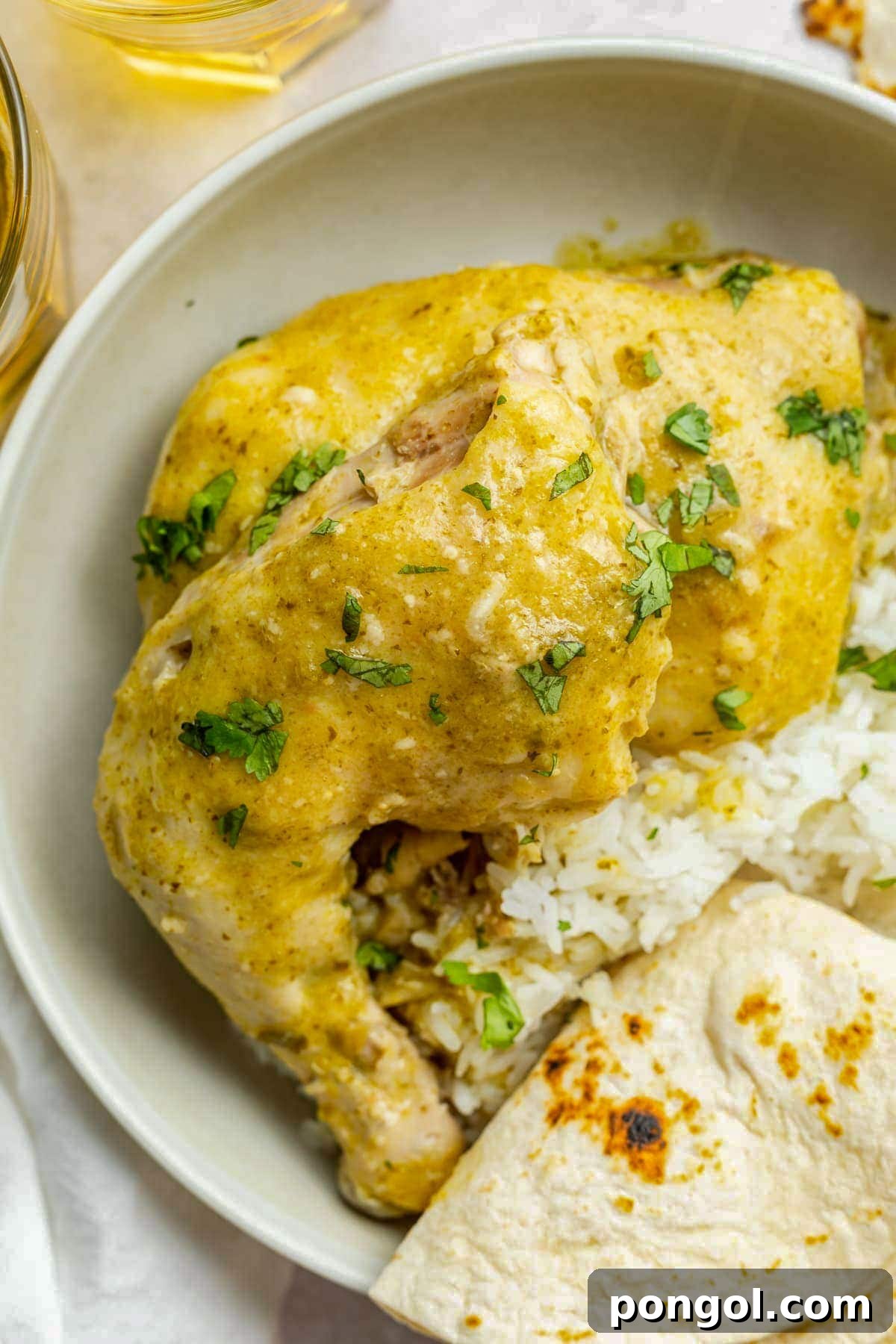 125 Simple Chicken Dinners: Fast Meals with Pantry Staples 92 Bone-in chicken smothered in a green molé sauce and plated with rice and a tortilla triangle in a large bowl.