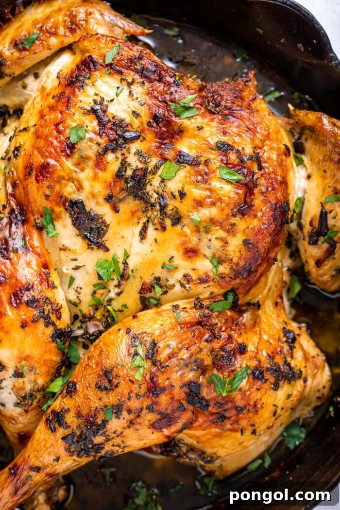 Spatchcock chicken in a cast iron pan, sprinkled with fresh parsley.