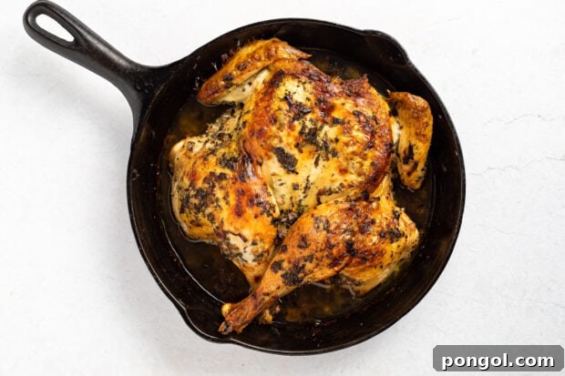 Roasted spatchcock chicken in a baking dish.