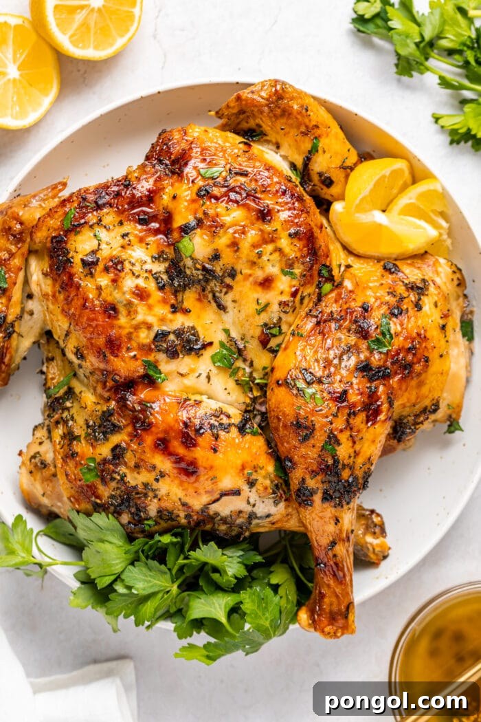 Spatchcock chicken on a plate with fresh parsley and lemon slices.