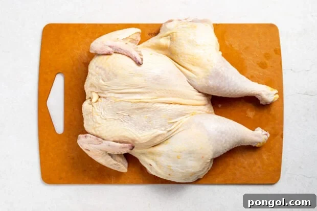 Spatchcock-Chicken-Process-Photo-2