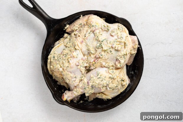 Spatchcock-Chicken-Process-Photo-4