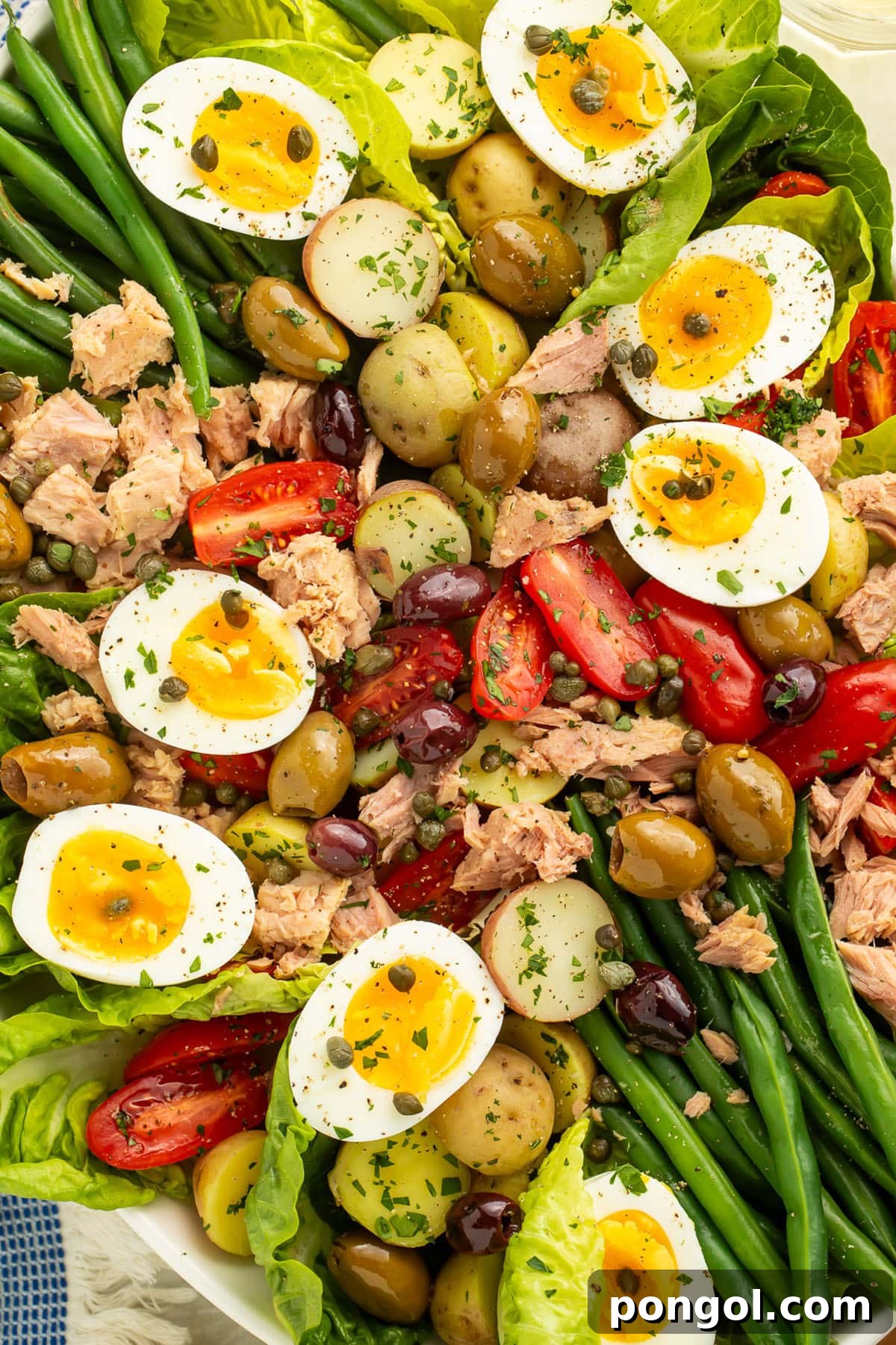 A close-up view of a Nicoise salad, highlighting the perfectly cooked potatoes, green beans, jammy eggs, fresh lettuce, olives, capers, tomatoes, and flaky tuna.