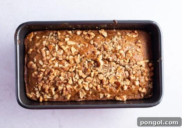 Baked vegan zucchini bread in a loaf pan
